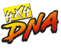 4X4 DNA